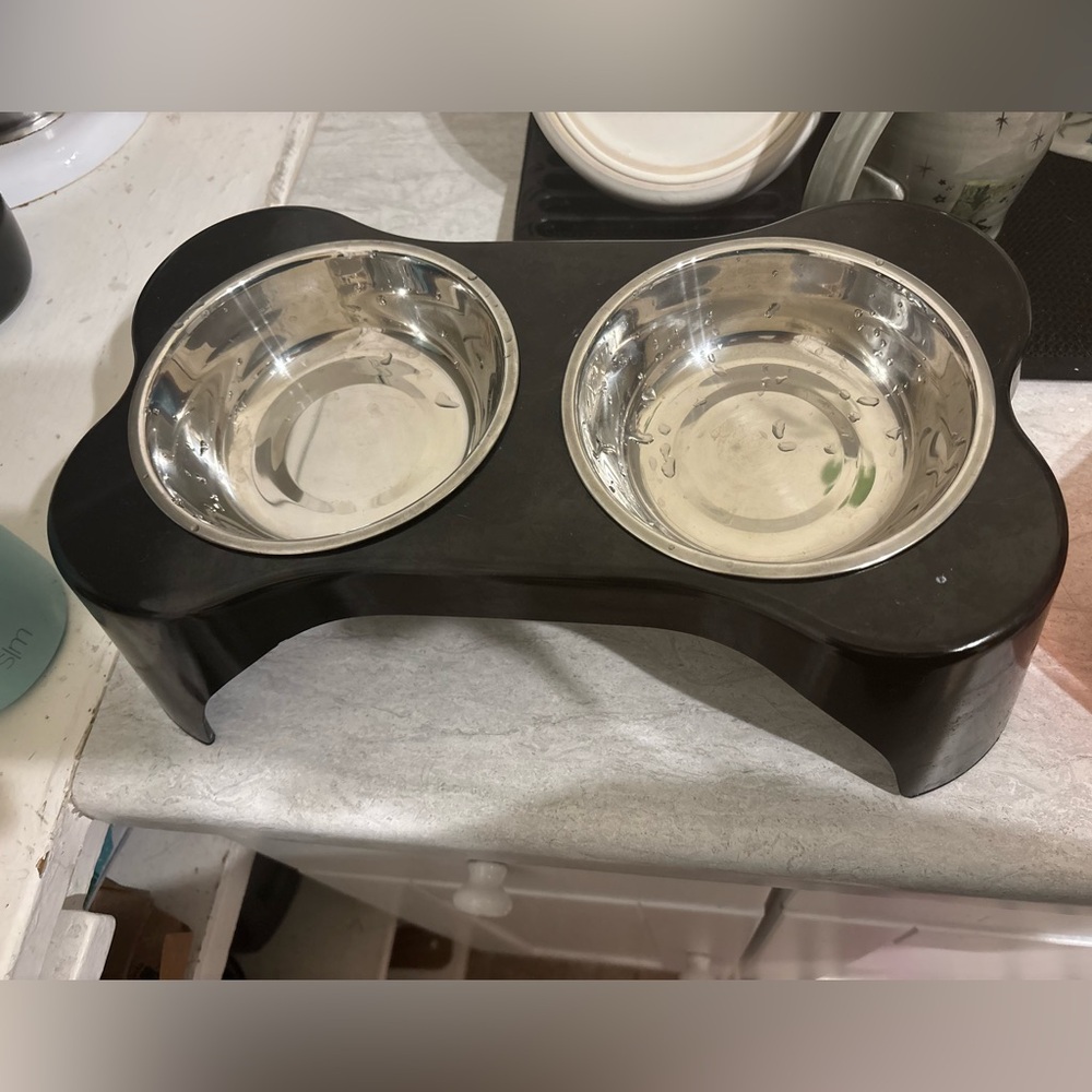 Stainless Steel Double Cat Feeder with Black Stand